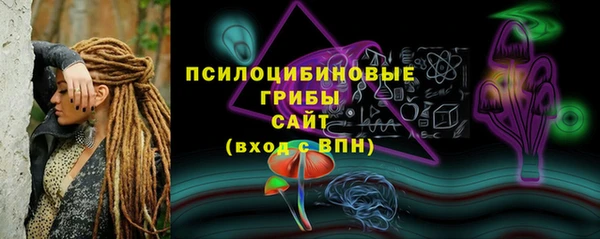 ГАЛЛЮЦИНОГЕННЫЕ ГРИБЫ Володарск
