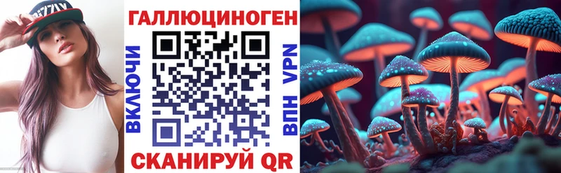 закладка  Дедовск  kraken сайт  Галлюциногенные грибы мицелий 
