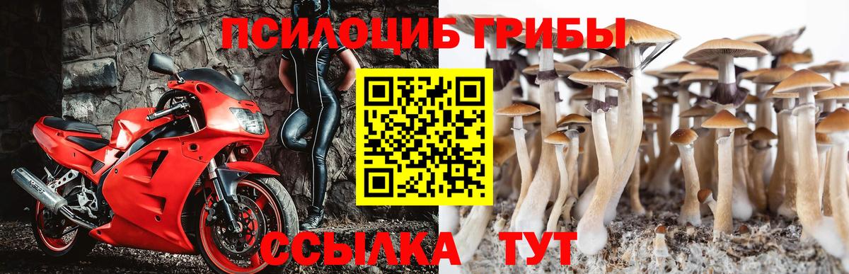 Псилоцибиновые грибы прущие грибы Дедовск