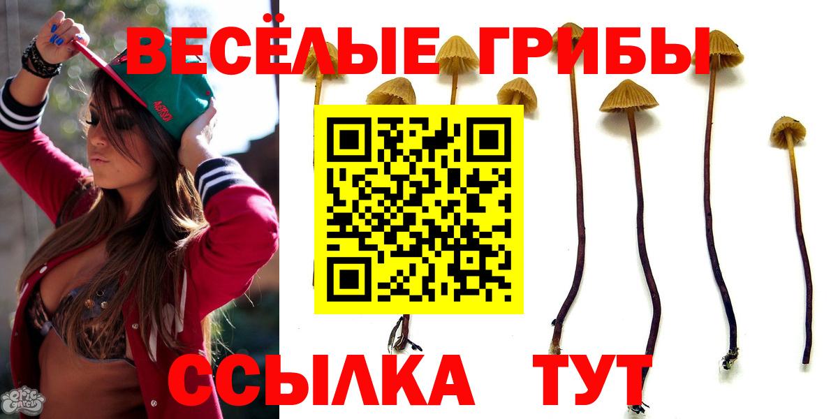 Галлюциногенные грибы GOLDEN TEACHER Дедовск